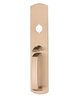 Satin Bronze-US10