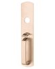 Satin Bronze-US10