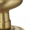 Antique Brass-US5