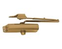 Light Bronze