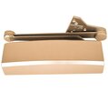 Light Bronze
