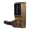 Antique Brass-609