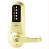 Bright Brass-605