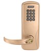 Satin Bronze-612