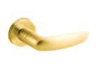 Bright Brass-605
