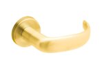 Bright Brass-605