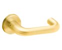 Bright Brass-605