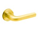 Bright Brass-605