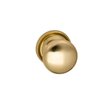 Polished and Lacquered Brass-US3