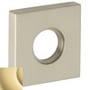 Polished Brass,No Lacquer-031