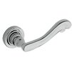 Polished Chrome-260