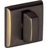 Satin Brass and Black-050