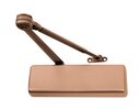 Light Bronze