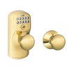 Lifetime Bright Brass-505
