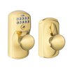 Lifetime Bright Brass-505
