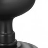 Oil Rubbed Bronze-US10B