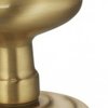Satin Brass-US4