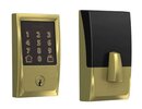 Satin Brass-608
